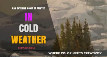 Chilly Weather Painting: Tips for Exterior Home Makeovers