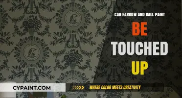 Reviving Your Farrow & Ball Paint: Tips for Touch-Ups and Maintenance