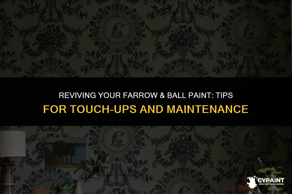 can farrow and ball paint be touched up
