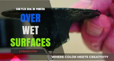 Painting Over Wet Surfaces with Flex Seal: A Comprehensive Guide