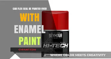 How to Paint Over Flex Seal with Enamel Paint