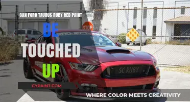 Ruby Red Ford Taurus: Touch-Up Paint Tips