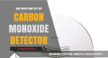 Fresh Paint and Carbon Monoxide Detectors: What You Need to Know