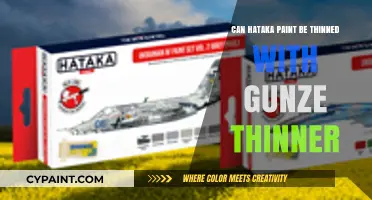 Exploring Compatibility: Can Hataka Paint Be Thinned with Gunze Thinner?