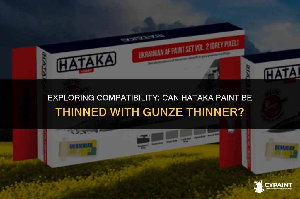 can hataka paint be thinned with gunze thinner