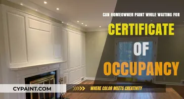 Can You Paint Your Home Before Moving In?