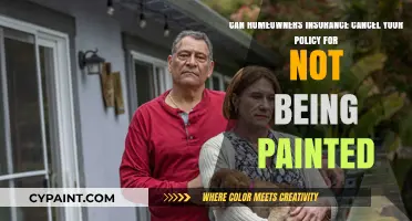 Can Lack of Paint Cause Homeowners Insurance Policy Cancellation?