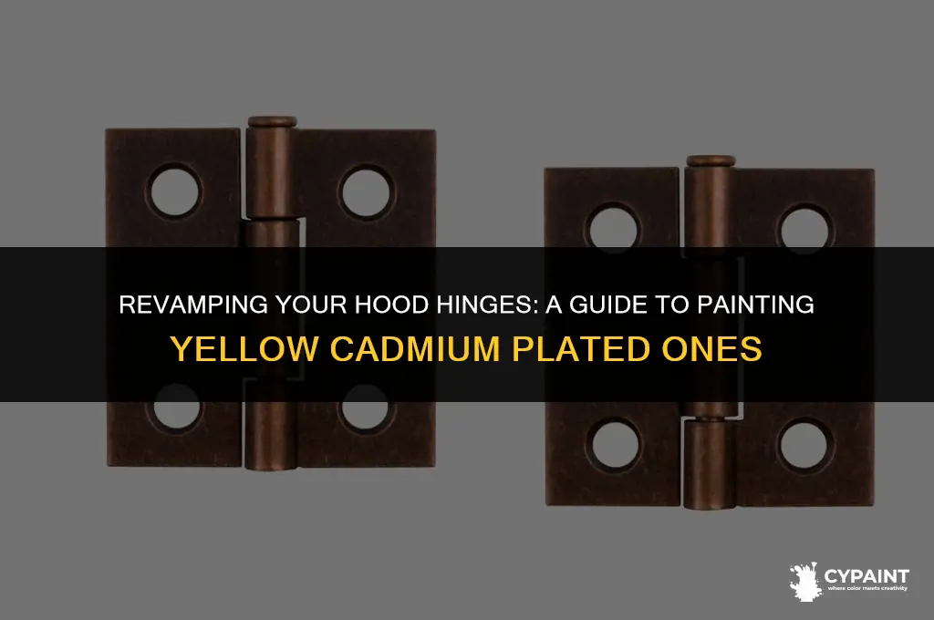 can hood hinges yellow cadmium plated be painted