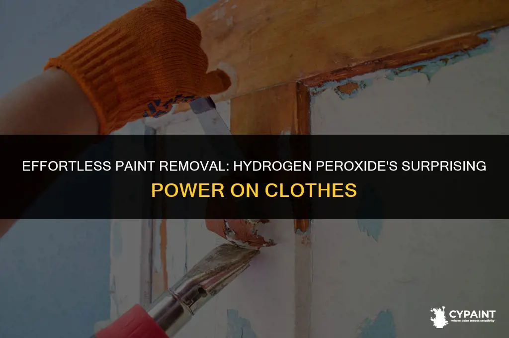 can hydrogen peroxide take out paint from clothes