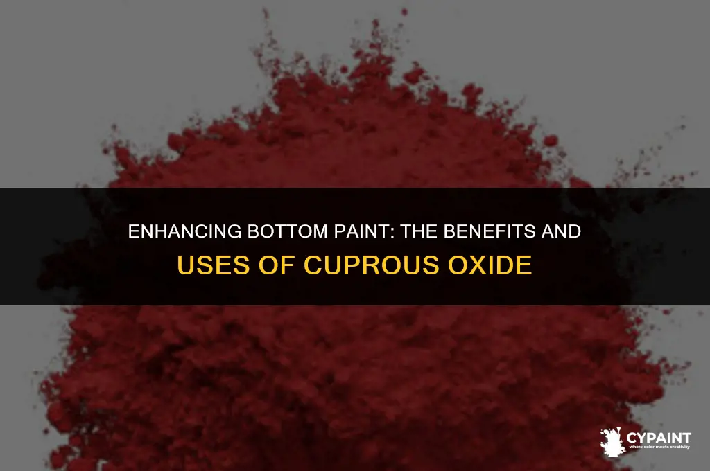 can i add cuprous oxide to bottom paint