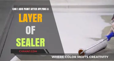 Painting Over Sealer: Tips for Adding Color After Sealing Surfaces