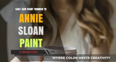 How to Thin Annie Sloan Paint: Paint Thinner or Water?