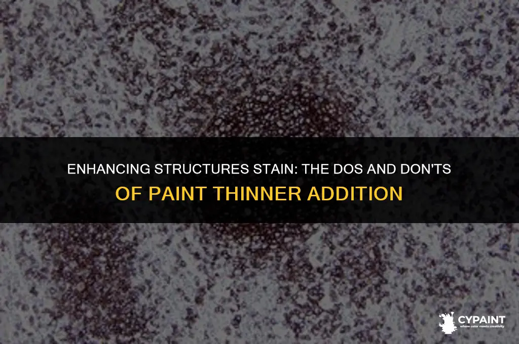 can i add paint thinner to strucutures stain