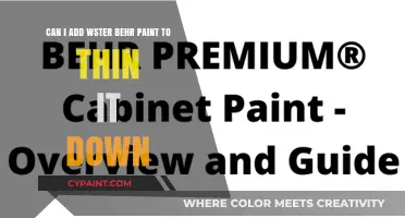 Can You Thin Behr Paint with Water? A Quick Guide