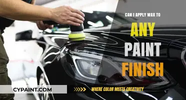 Waxing Your Car: A Guide to Paint Finish Compatibility