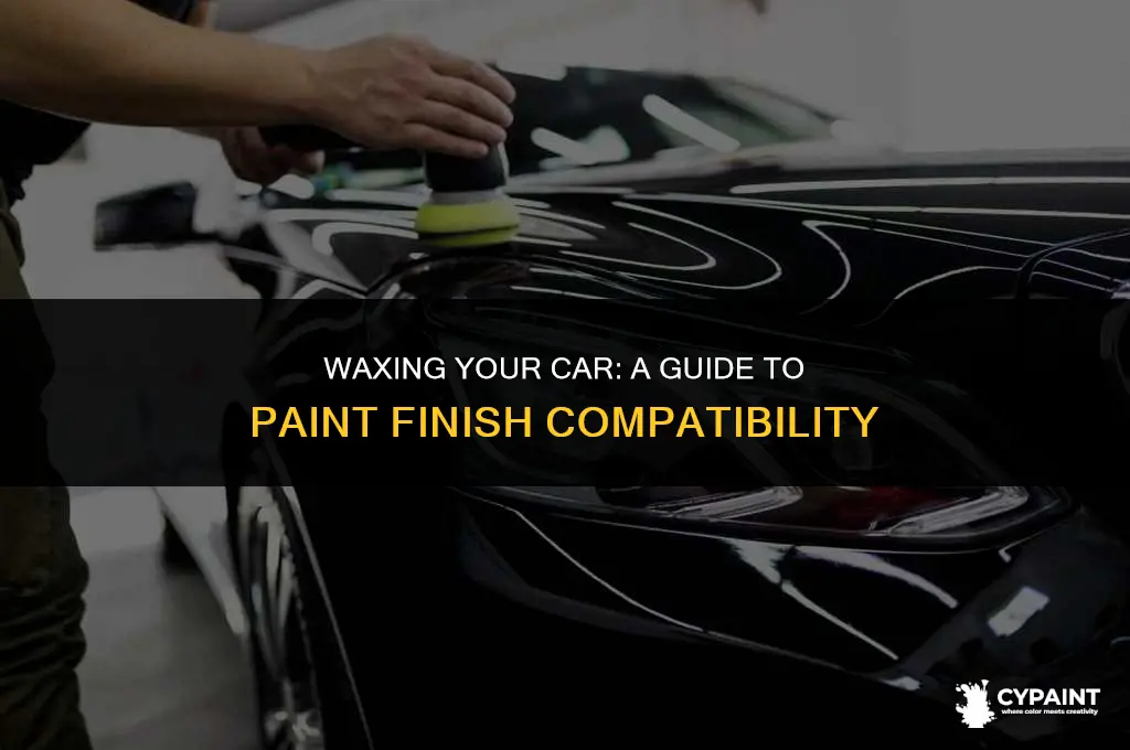 can i apply wax to any paint finish