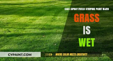 Can You Apply Field Striping Paint on Wet Grass? Tips and Best Practices