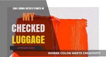 Traveling with Artist Paints: Checked Luggage Rules