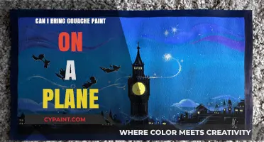 Flying with Gouache: A Painter's Guide to Air Travel