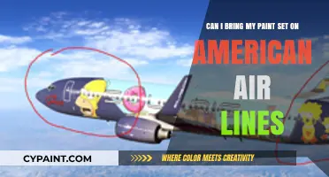 Traveling with Art Supplies: Can You Bring Paint Sets on American Airlines?