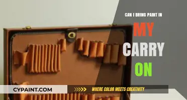Traveling with Art: Can You Bring Paint in Your Carry-On?