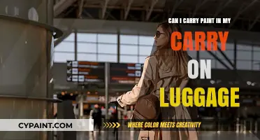 Traveling with Paint: Carry-On Luggage Restrictions