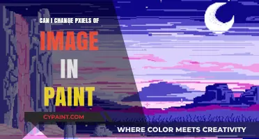 Transforming Images: A Guide to Changing Pixels in Paint