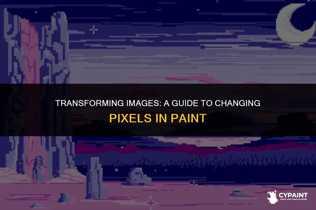 can i change pxiels of image in paint