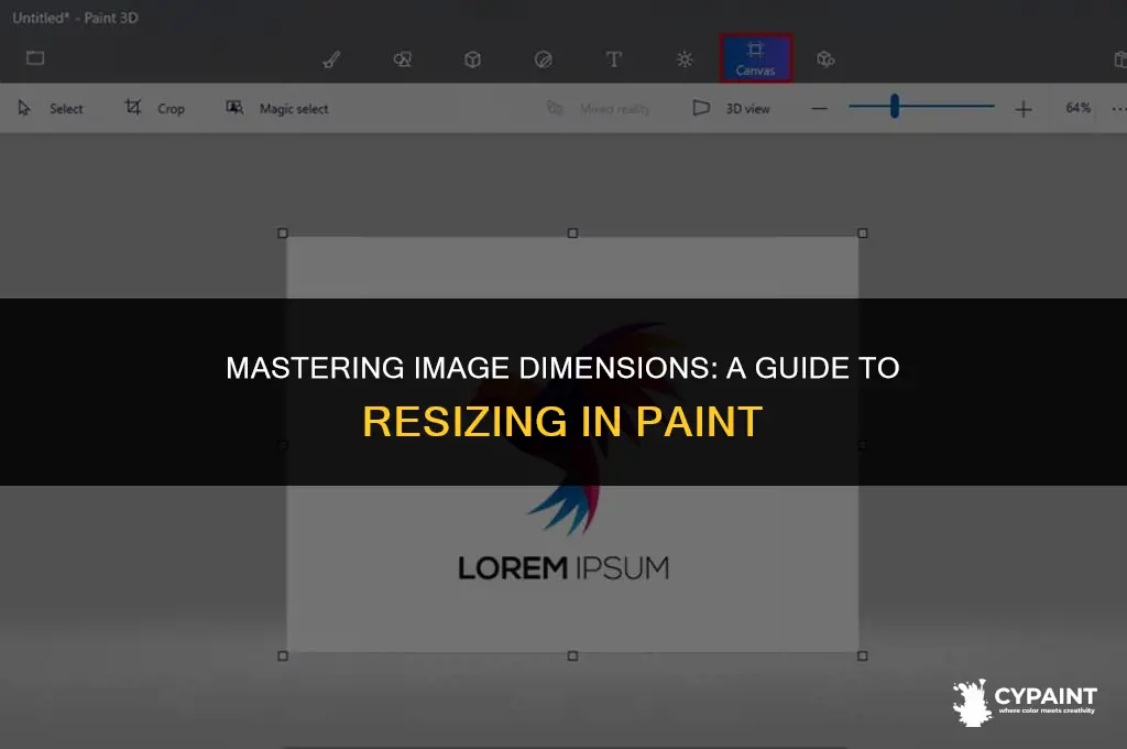 can i change width and height in paint