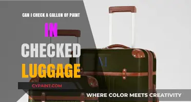 Can You Check a Gallon of Paint in Checked Luggage?