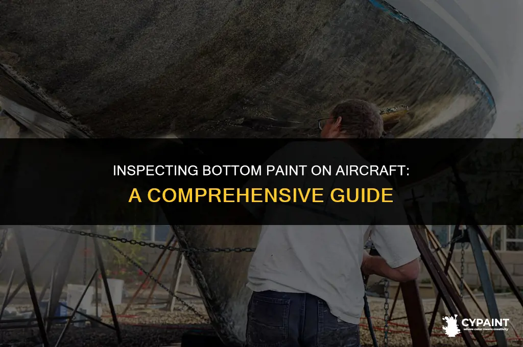can i check bottom paint on the plane