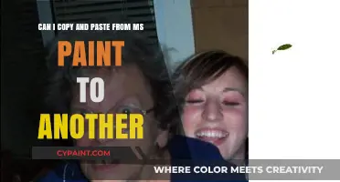 Copy-Paste from MS Paint: Tips for Seamless Image Transfer