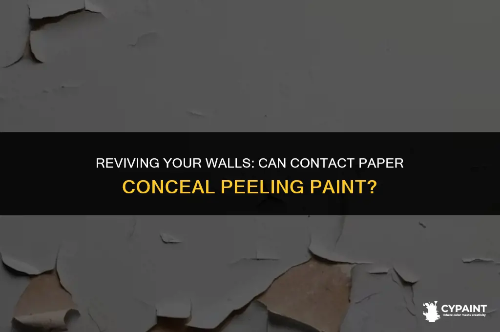 can i cover peeling paint with contact paper