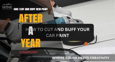 Cut and Buff New Paint After a Year: Is It Safe?