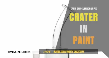 DIY Paint Repair: Dabbing Clear Coat to Fix Craters