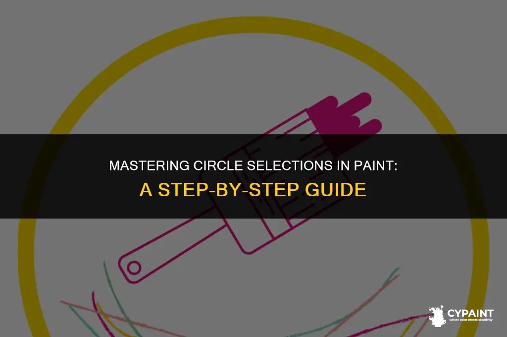 can i do a circle selection in paint