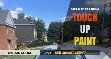 DIY Vehicle Touch-Up Paint: Is It Worth It?