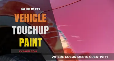 DIY Vehicle Touch-Up Paint: A Comprehensive Guide for Car Owners