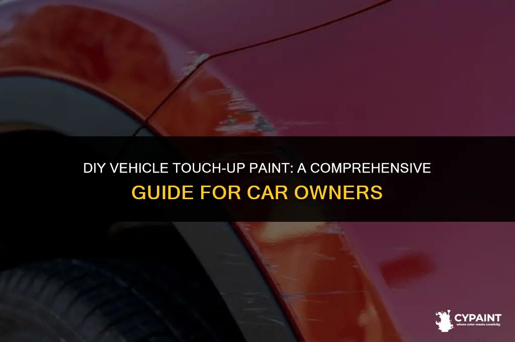 can i do my own vehicle touchup paint