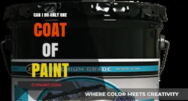 Single Coat Wonders: Exploring the Possibilities of One-Layer Painting