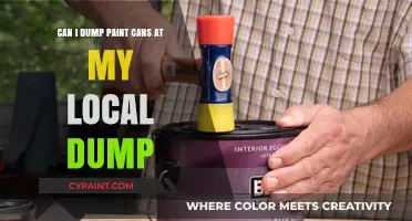 Properly Dispose of Paint Cans at the Dump