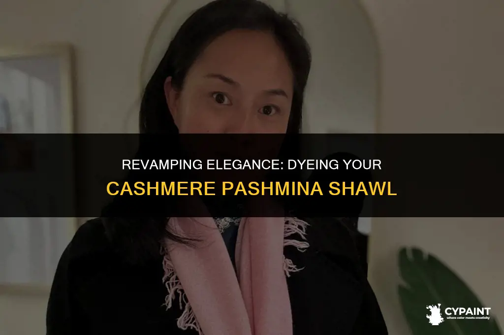 can i dye paint my cashmere pashmina shawl
