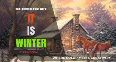 Winter Painting Woes: Can You Exterior Paint in the Cold?
