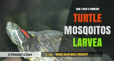 Natural Diet for Painted Turtles: Mosquito Larvae and Beyond