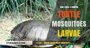 Mosquito Larvae: A Suitable Food Source for Painted Turtles?