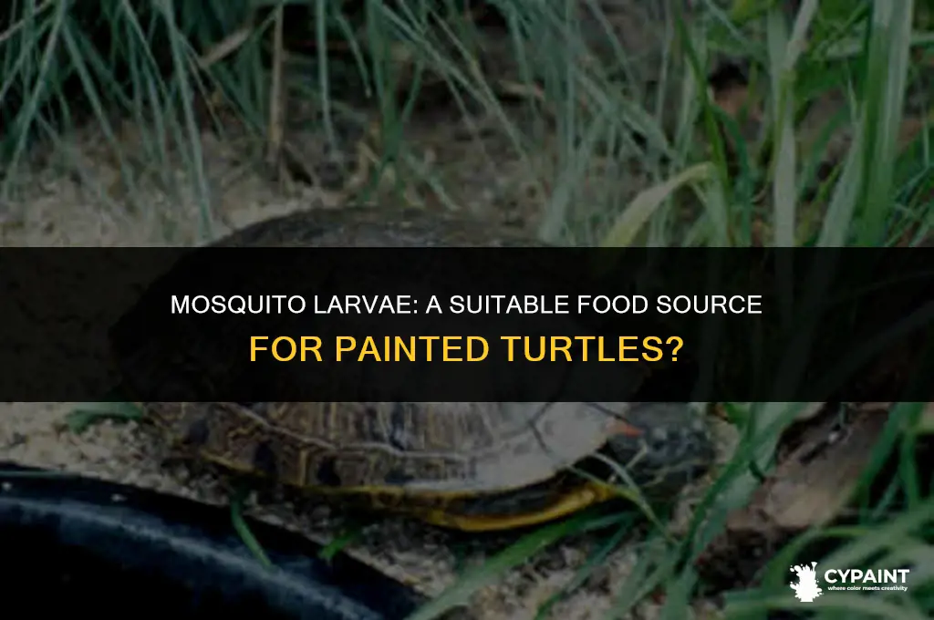 can i feed a painted turtle mosquitoes larvae