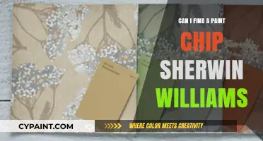 Discovering the Perfect Paint Chip at Sherwin-Williams: A Guide
