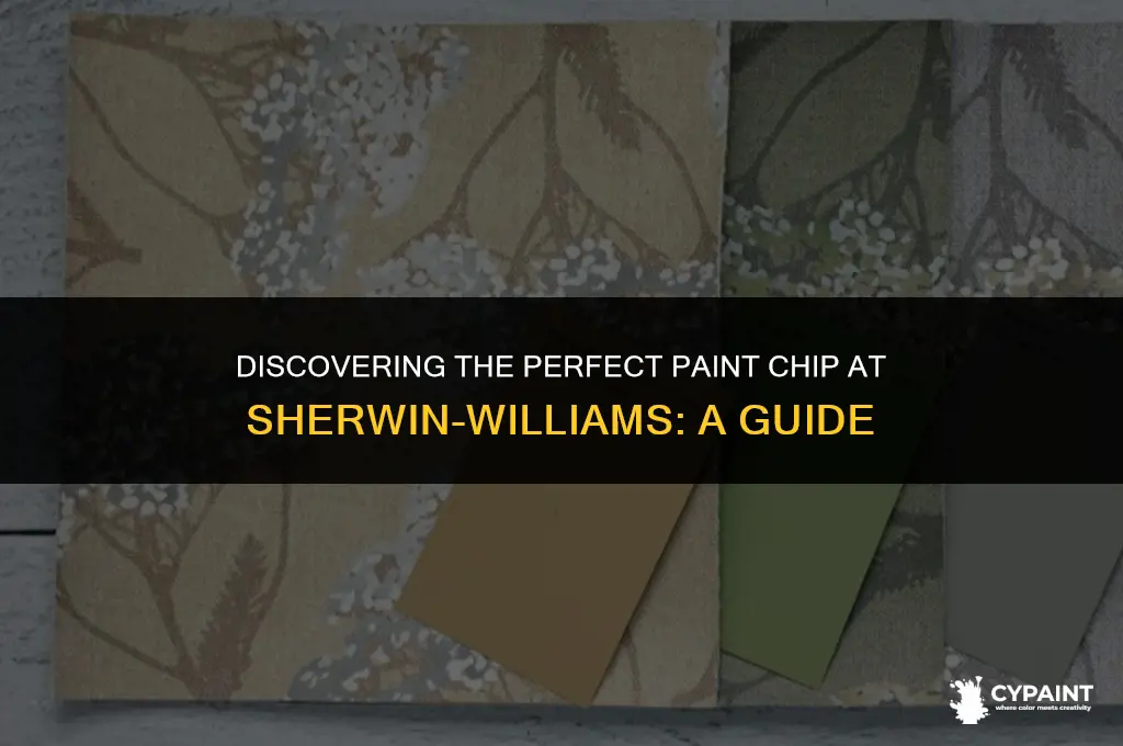 can i find a paint chip sherwin williams