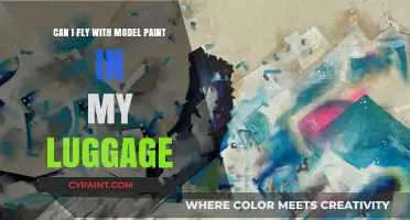 Flying with Model Paint: What You Need to Know