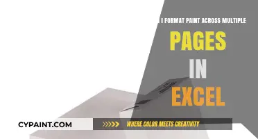 Quickly Format Paint Across Multiple Excel Pages